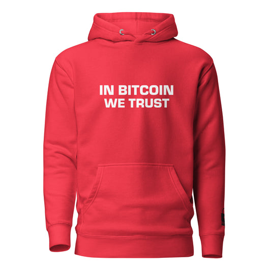 Damen In Bitcoin We Trust Hoodie